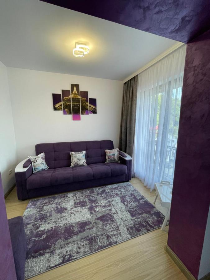 Bibis Apartments Nehoiu Eksteriør bilde